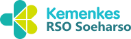 Logo RSO